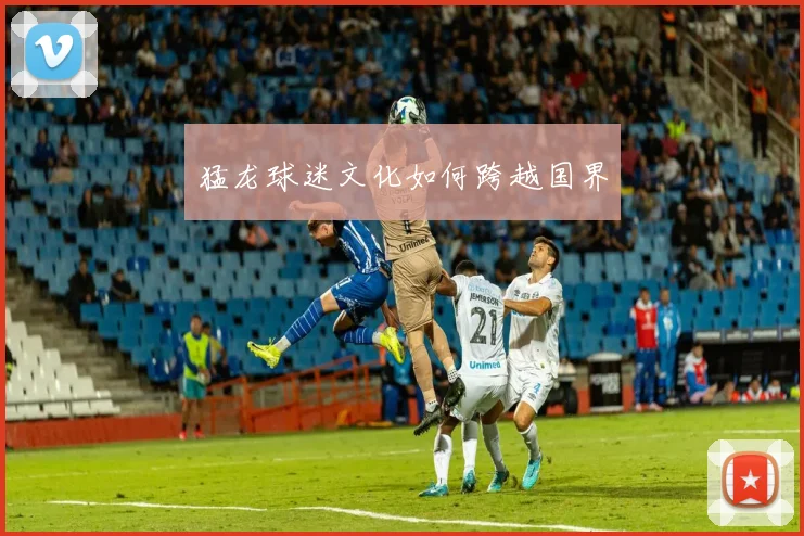 猛龙球迷文化如何跨越国界