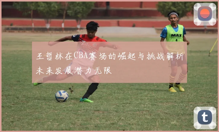 王哲林在CBA赛场的崛起与挑战解析未来发展潜力无限