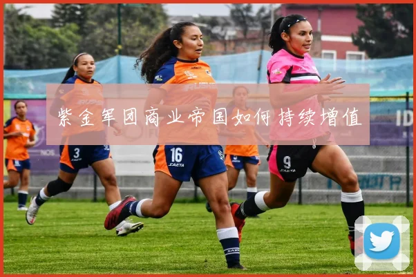 紫金军团商业帝国如何持续增值