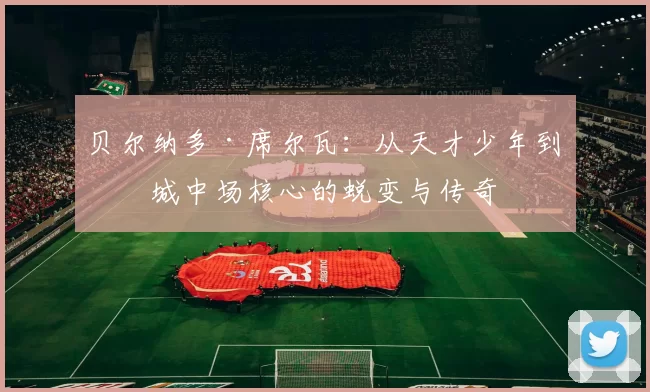 贝尔纳多·席尔瓦：从天才少年到曼城中场核心的蜕变与传奇