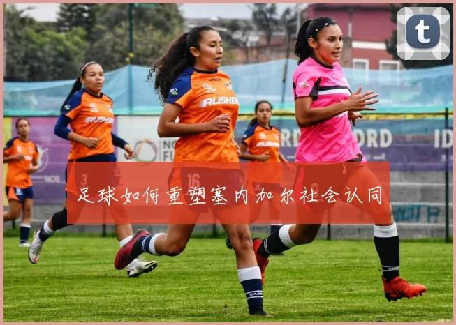 足球如何重塑塞内加尔社会认同