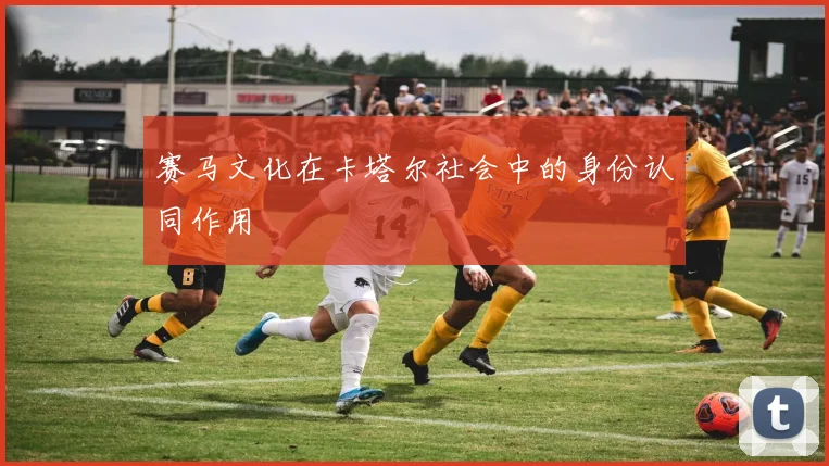 赛马文化在卡塔尔社会中的身份认同作用