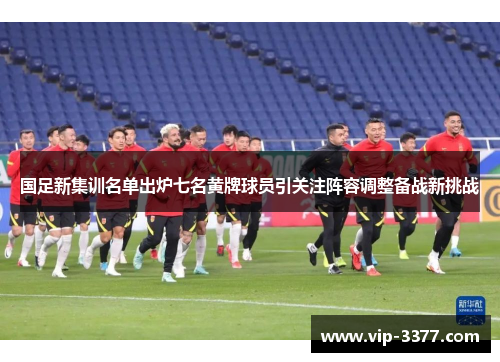 国足新集训名单出炉七名黄牌球员引关注阵容调整备战新挑战
