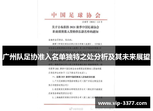 广州队足协准入名单独特之处分析及其未来展望
