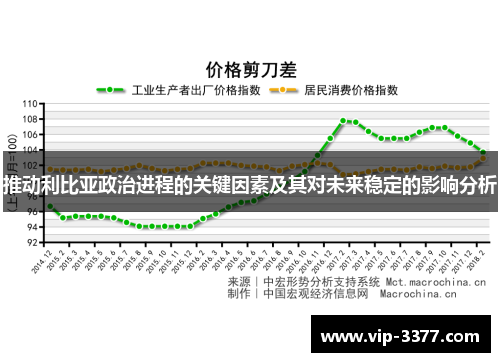 推动利比亚政治进程的关键因素及其对未来稳定的影响分析
