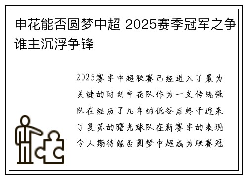 申花能否圆梦中超 2025赛季冠军之争谁主沉浮争锋