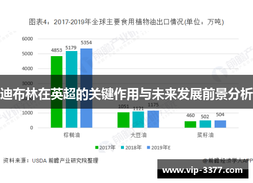 迪布林在英超的关键作用与未来发展前景分析
