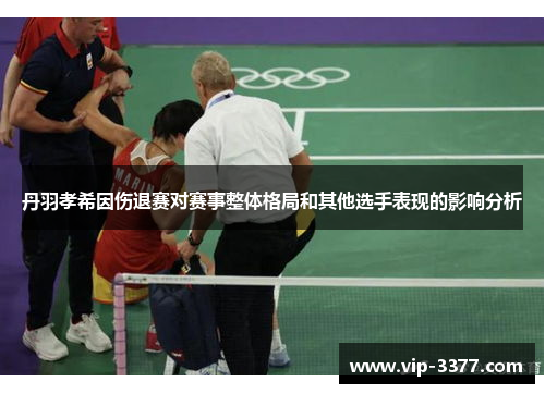 丹羽孝希因伤退赛对赛事整体格局和其他选手表现的影响分析