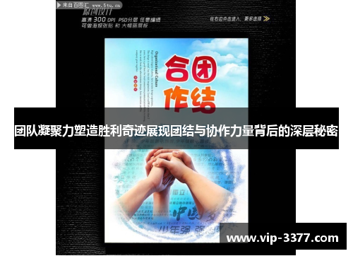 团队凝聚力塑造胜利奇迹展现团结与协作力量背后的深层秘密